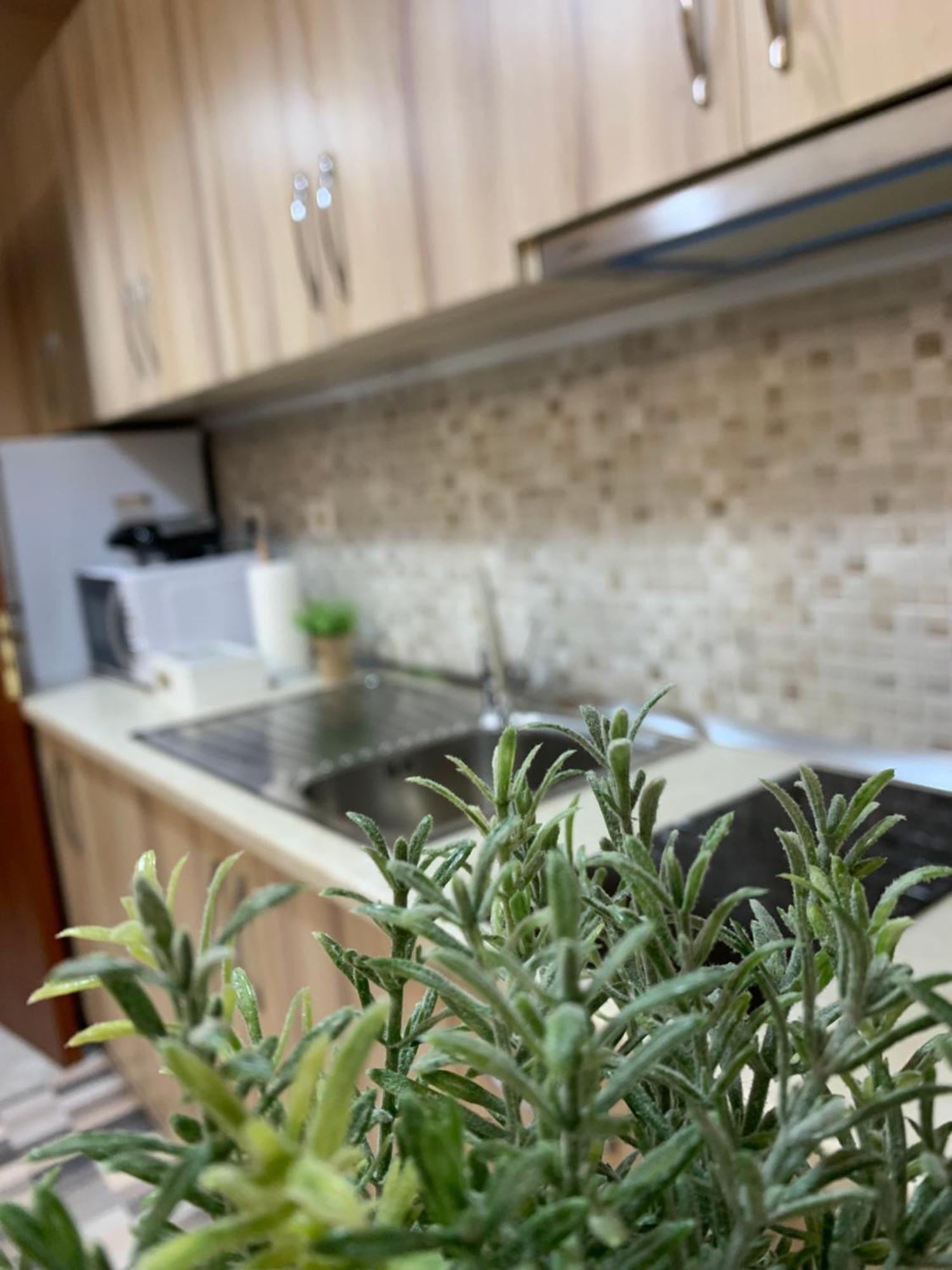 Ridi'S Comfort Apartment Шкодер Экстерьер фото